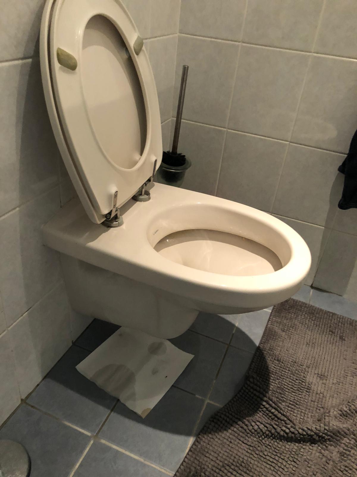 hangtoilet Duivendrecht